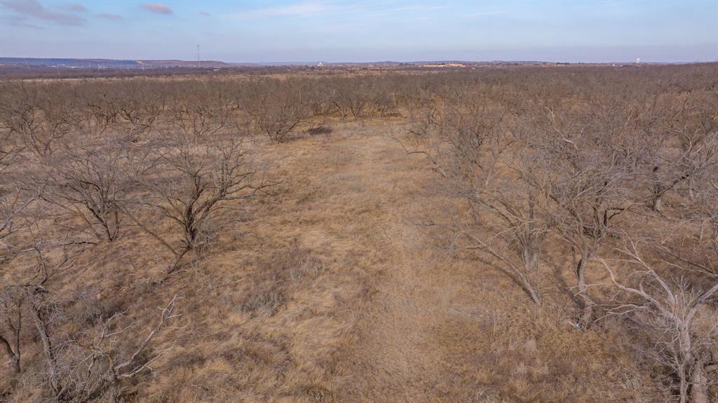 166 Fm 601 Albany, TX 76430 - Photo 8 of 8 a view of an outdoor space and a mountain view