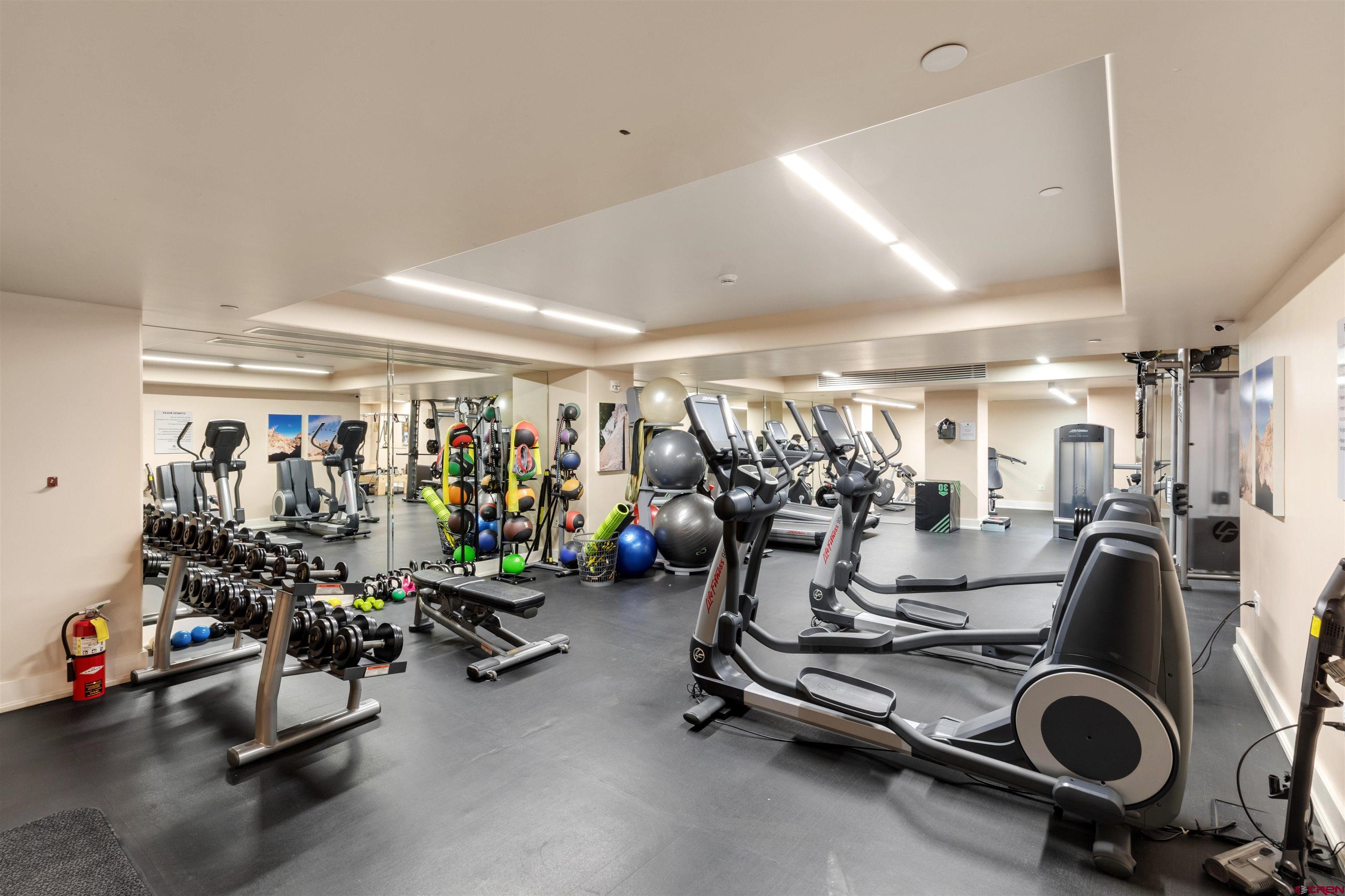 398 South Davis Street, Unit SW 201 Telluride, CO 81435 - Photo 23 of 23 a view of a room with gym equipment