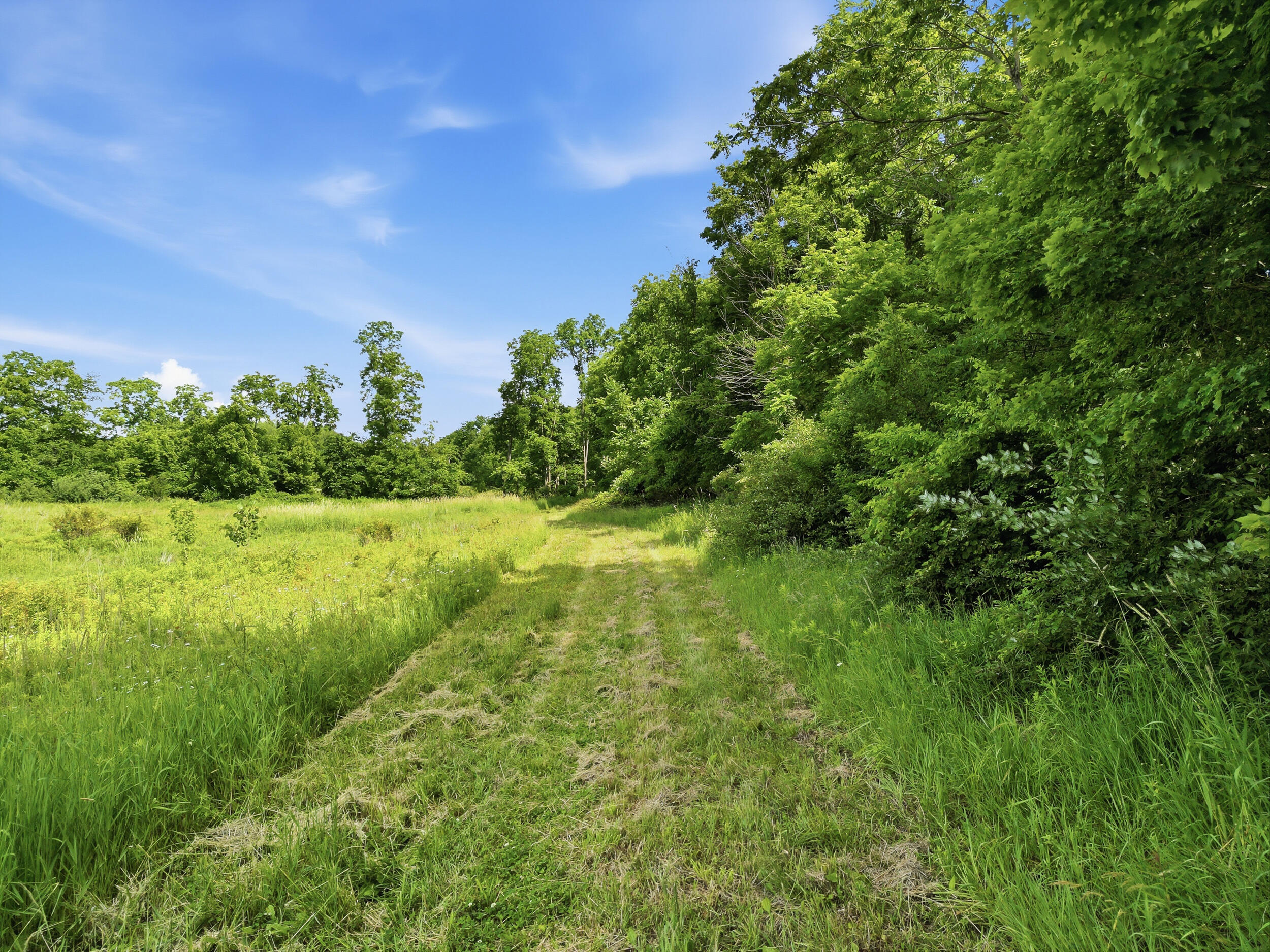 Vl Tamarack Road Pittsford, MI 49271 - Photo 6 of 24 a-7
