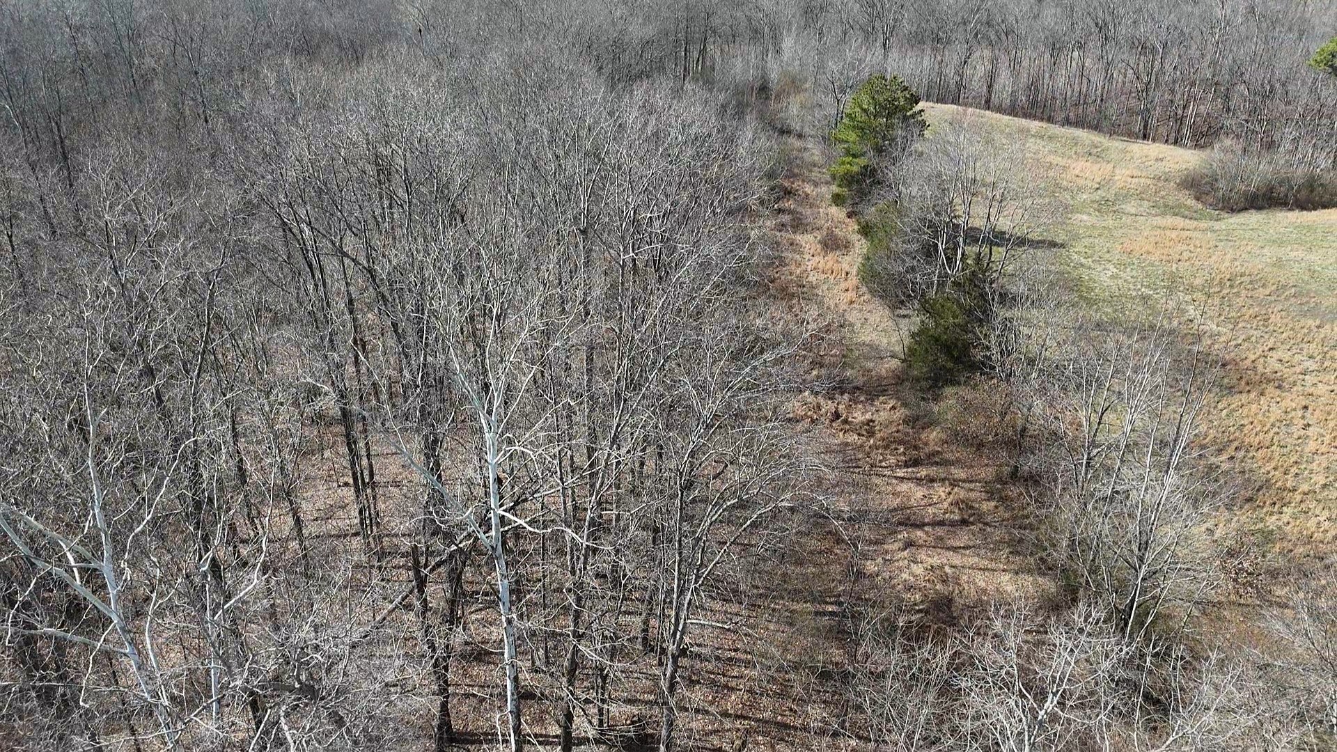 210 Donegan Crossing Road Dickson, TN 37055 - Photo 15 of 26