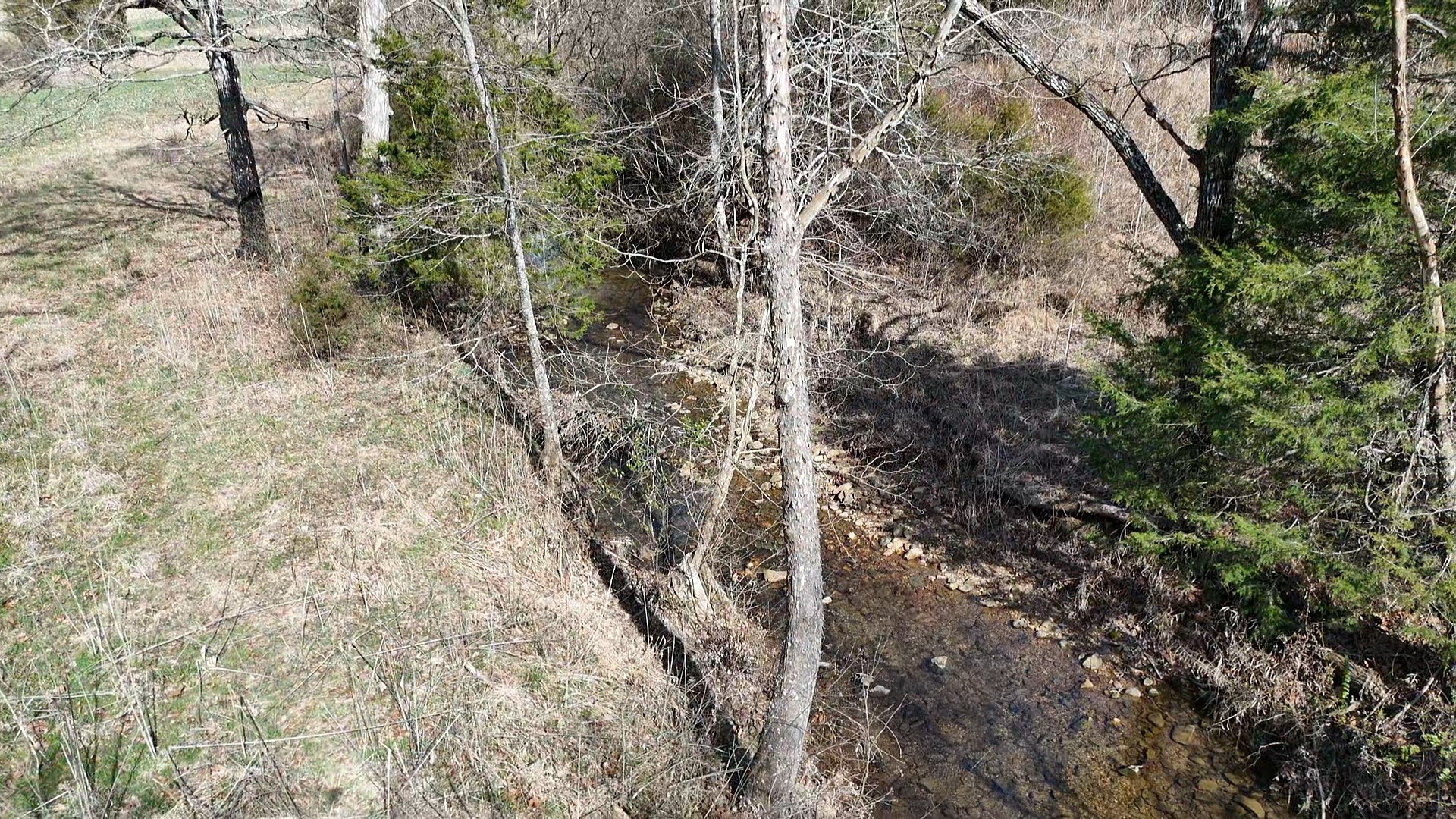 210 Donegan Crossing Road Dickson, TN 37055 - Photo 19 of 26