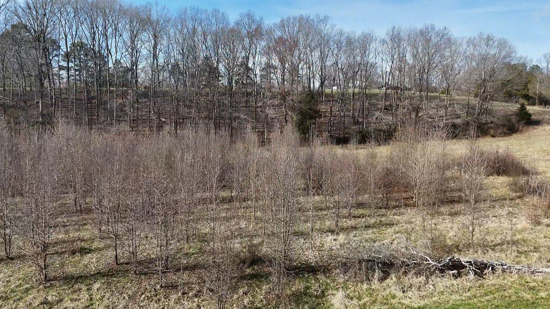 210 Donegan Crossing Road Dickson, TN 37055 - Photo 21 of 26