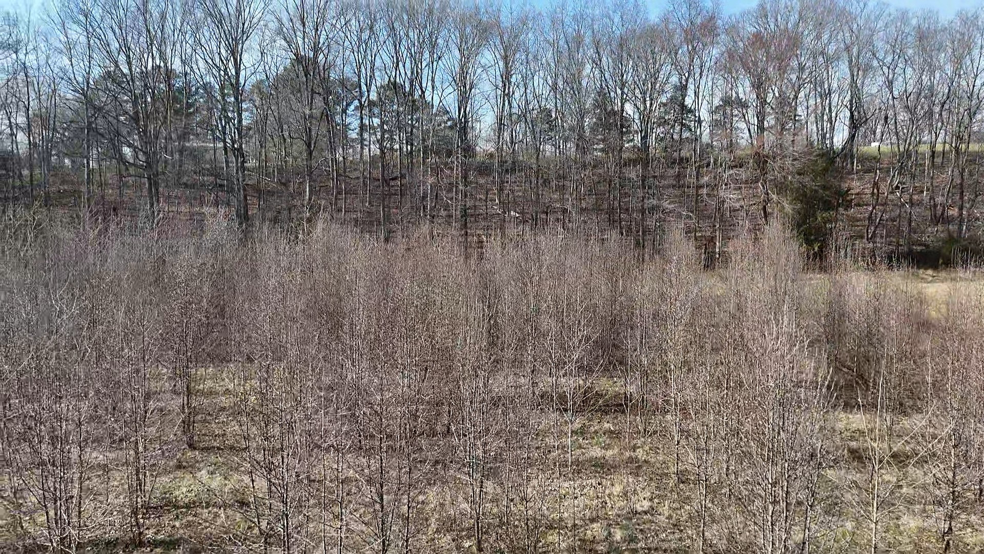 210 Donegan Crossing Road Dickson, TN 37055 - Photo 22 of 26