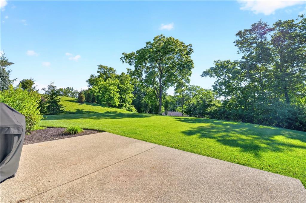 202 Indian Ridge Lane Canonsburg, PA 15317 - Photo 5 of 46 Back patio