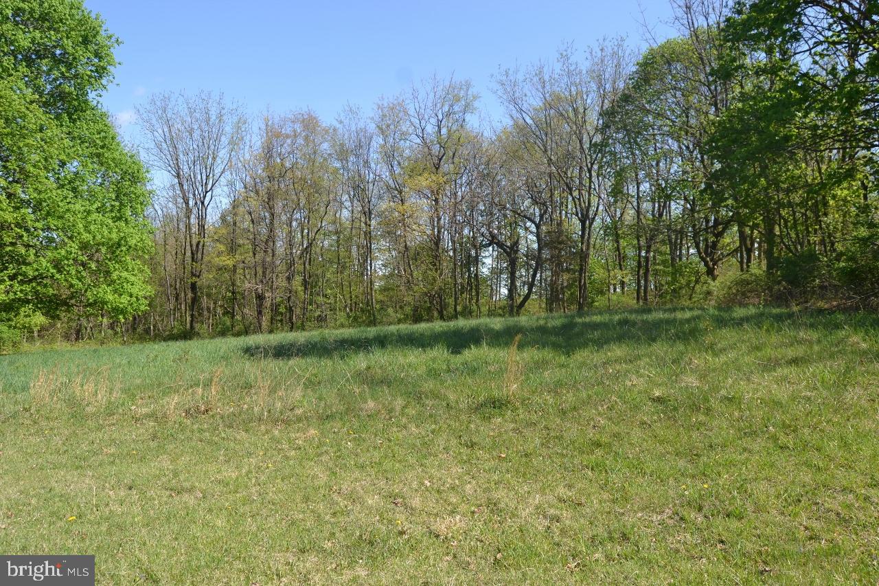 1213 Huffs Church Road Barto, PA 19504 - Photo 15 of 33 Gallery Image 15