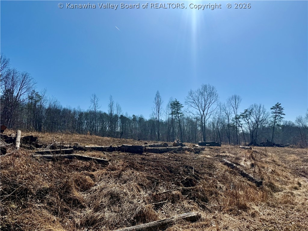 0 Blessing Lane Ripley, WV 25271 - Photo 4 of 15 Gallery Image 4