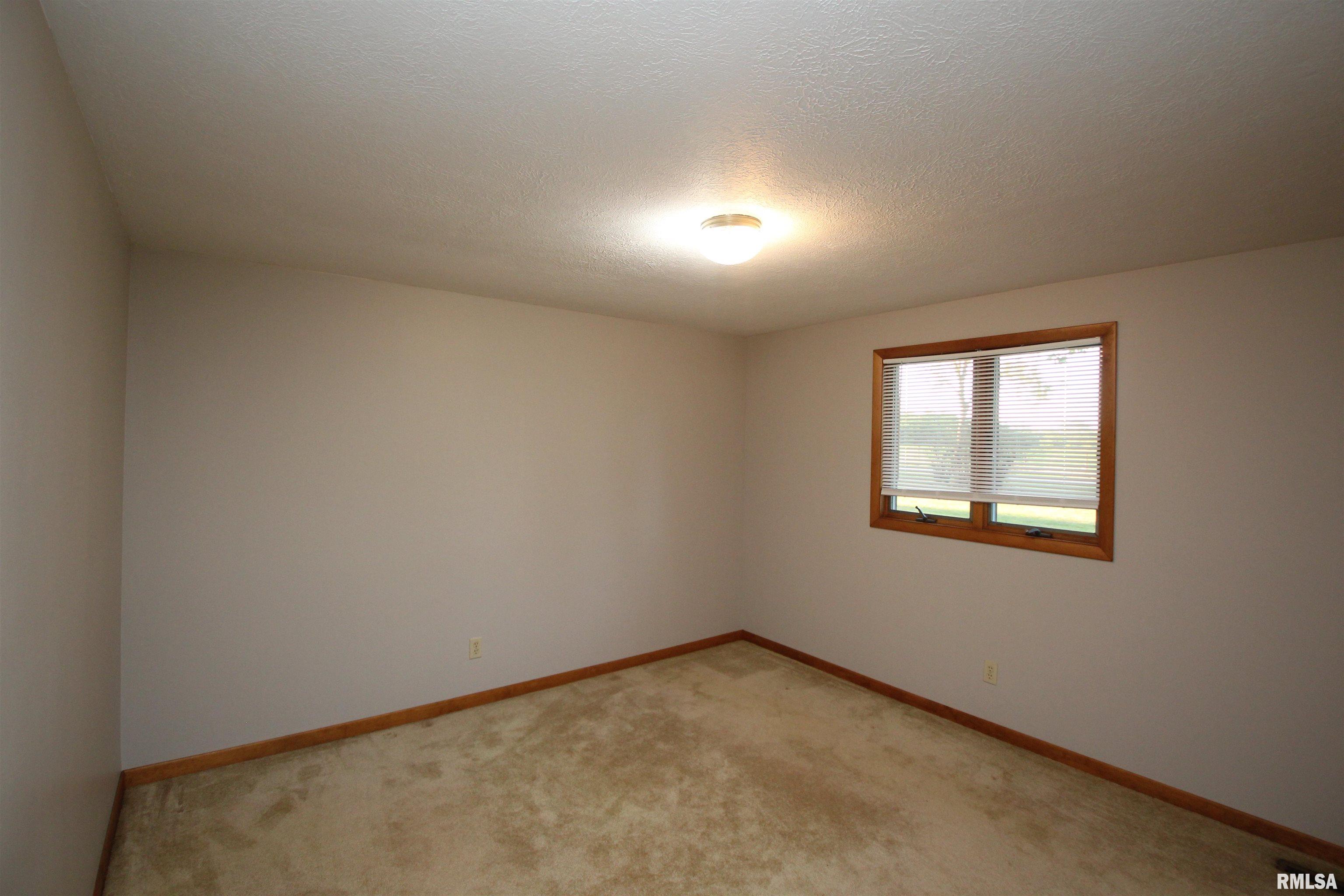 1371 Sun Road Washburn, IL 61570 - Photo 27 of 47