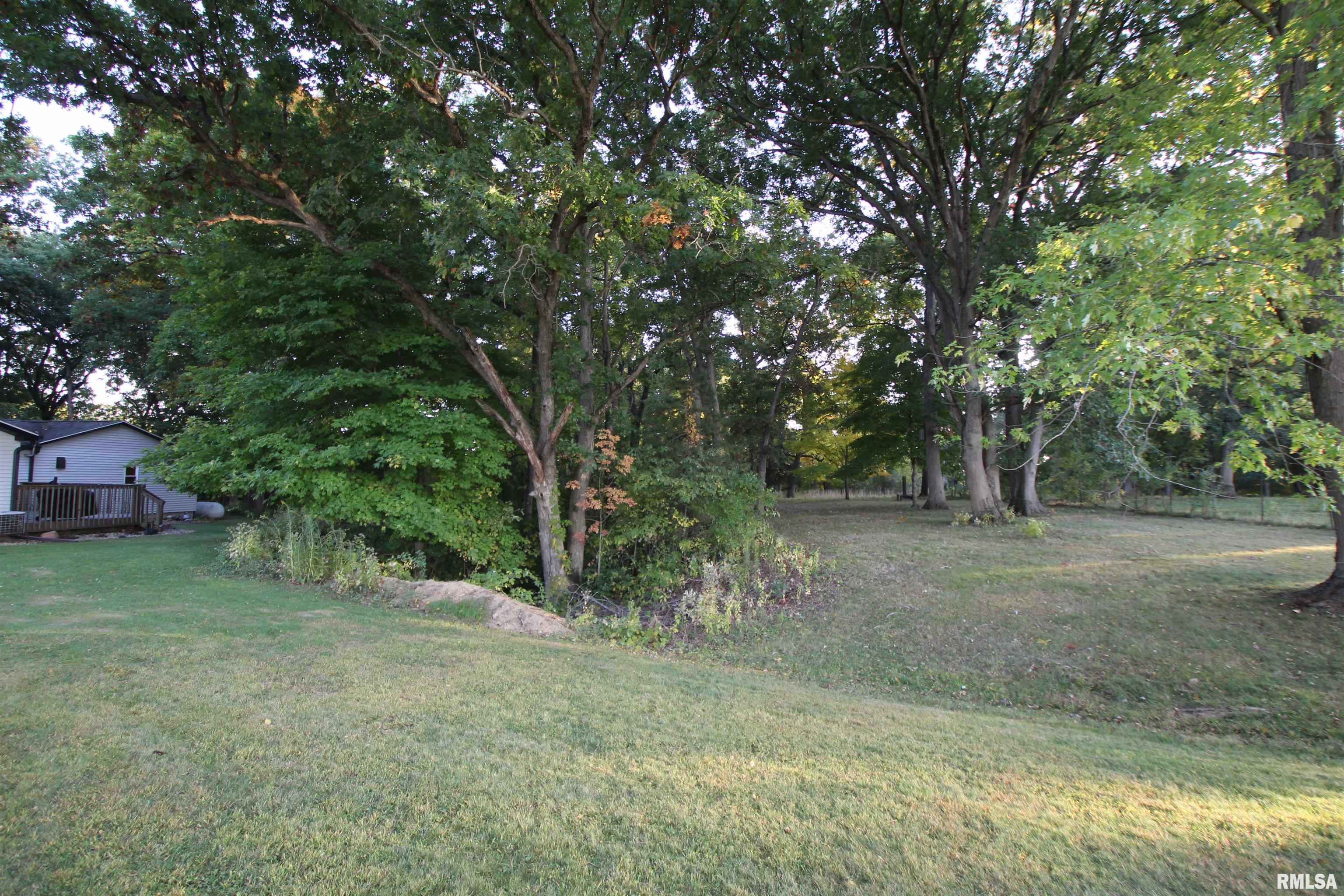 1371 Sun Road Washburn, IL 61570 - Photo 7 of 47