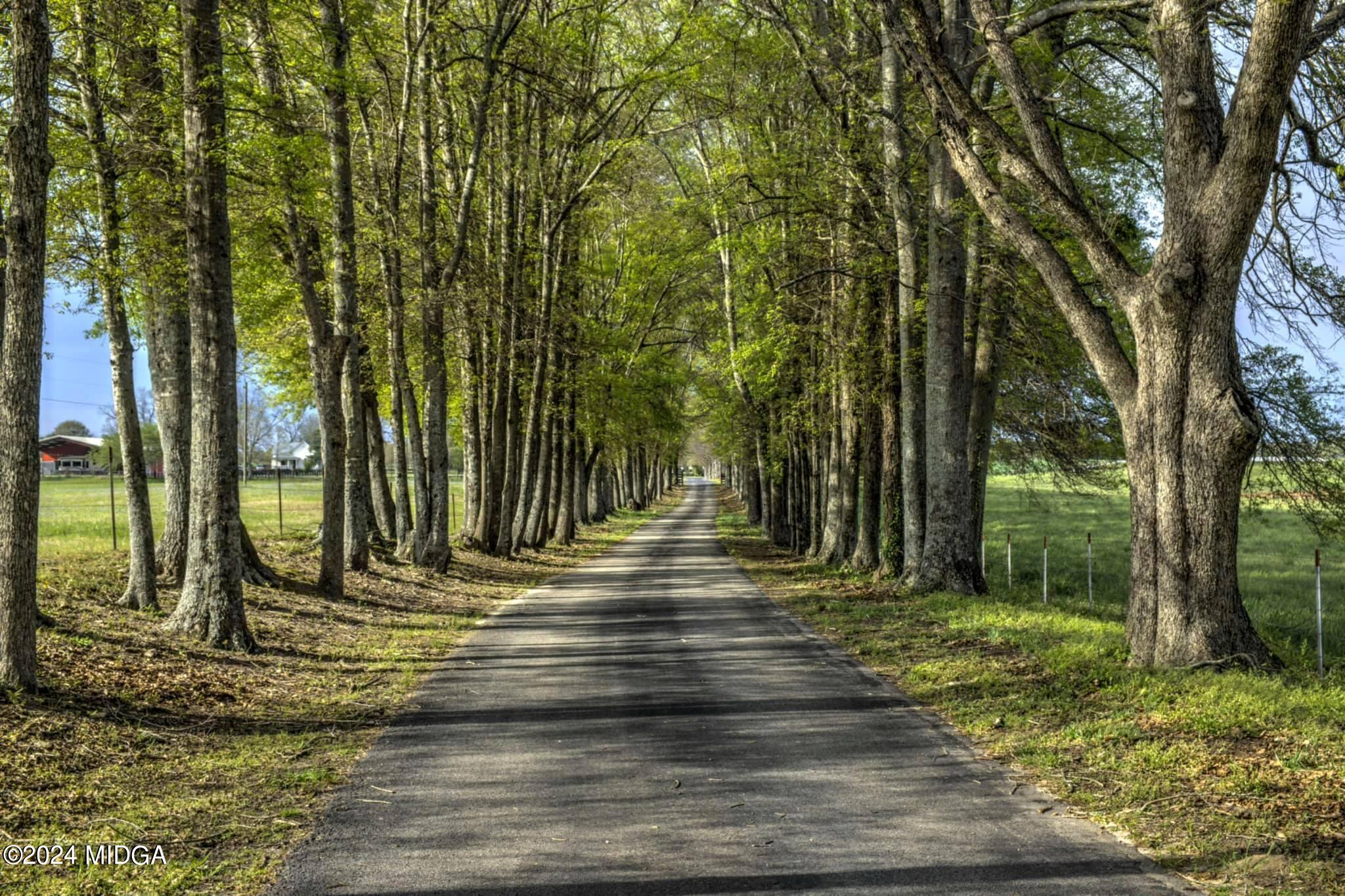 475 Brent Road Barnesville, GA 30204 - Photo 7 of 132 a view of a backyard with trees