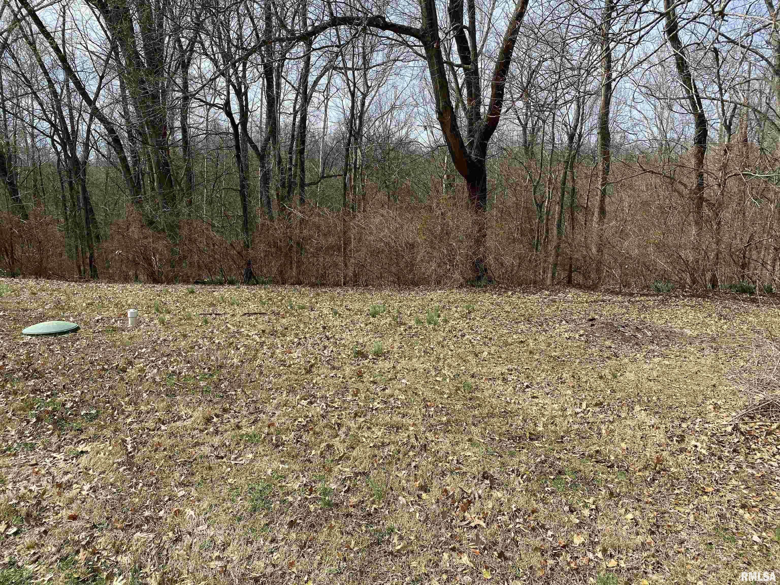 141 Fishback Road Carbondale, IL 62901 - Photo 29 of 29