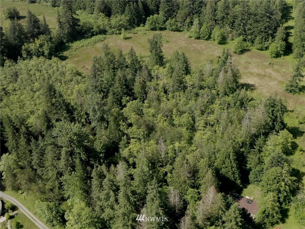3793 East Smith Road Bellingham, WA 98226 - Photo 1 of 14 an aerial view of residential house with green space