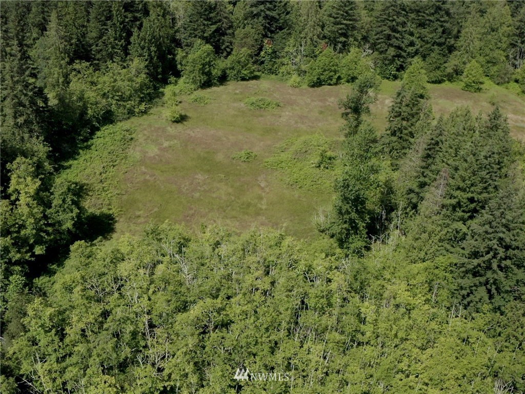 3793 East Smith Road Bellingham, WA 98226 - Photo 6 of 14