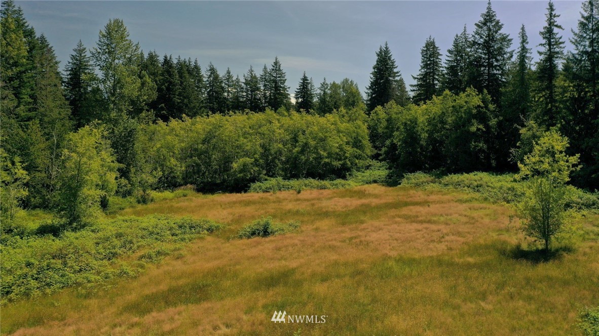 3793 East Smith Road Bellingham, WA 98226 - Photo 8 of 14 a view of outdoor space and yard