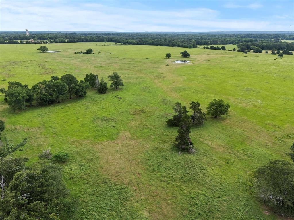 0 Vz Cr Ben Wheeler, TX 75754 - Photo 12 of 20