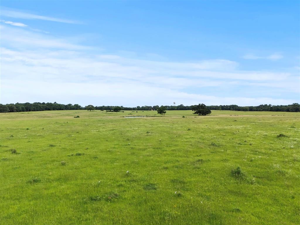 0 Vz Cr Ben Wheeler, TX 75754 - Photo 13 of 20