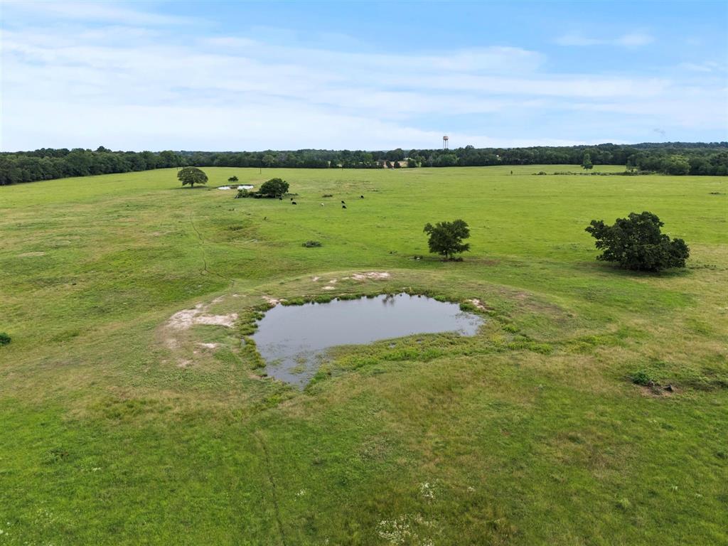 0 Vz Cr Ben Wheeler, TX 75754 - Photo 14 of 20 a view of a lake with a city