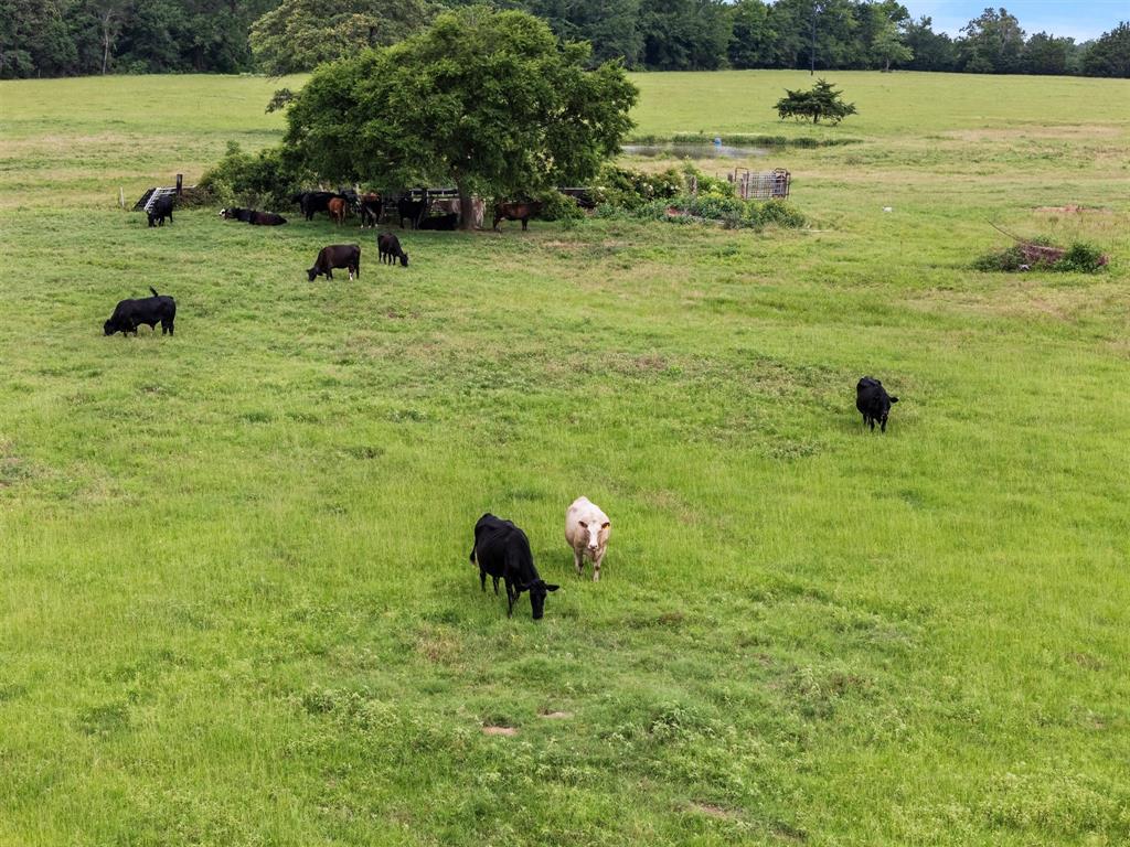0 Vz Cr Ben Wheeler, TX 75754 - Photo 16 of 20 a view of a lake view