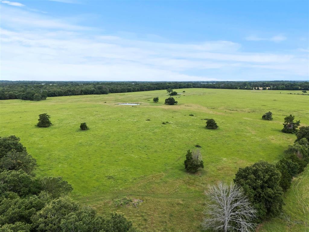 0 Vz Cr Ben Wheeler, TX 75754 - Photo 17 of 20