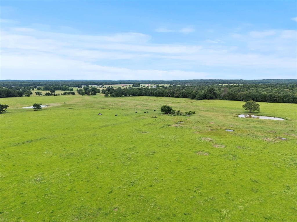0 Vz Cr Ben Wheeler, TX 75754 - Photo 18 of 20 a view of a field with an ocean