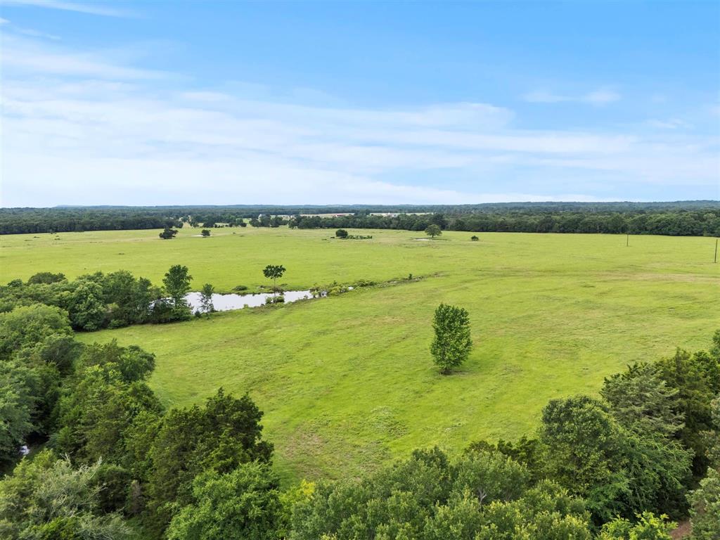 0 Vz Cr Ben Wheeler, TX 75754 - Photo 4 of 20 a view of a lake with a yard
