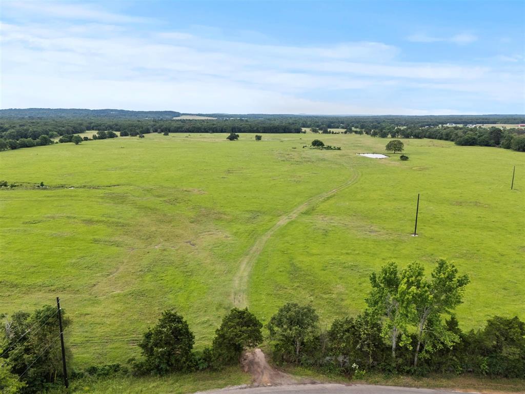 0 Vz Cr Ben Wheeler, TX 75754 - Photo 6 of 20 a view of an ocean