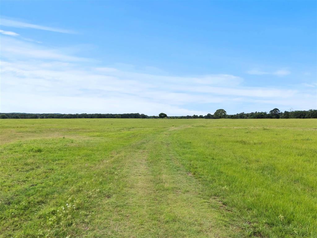0 Vz Cr Ben Wheeler, TX 75754 - Photo 7 of 20 a view of an ocean