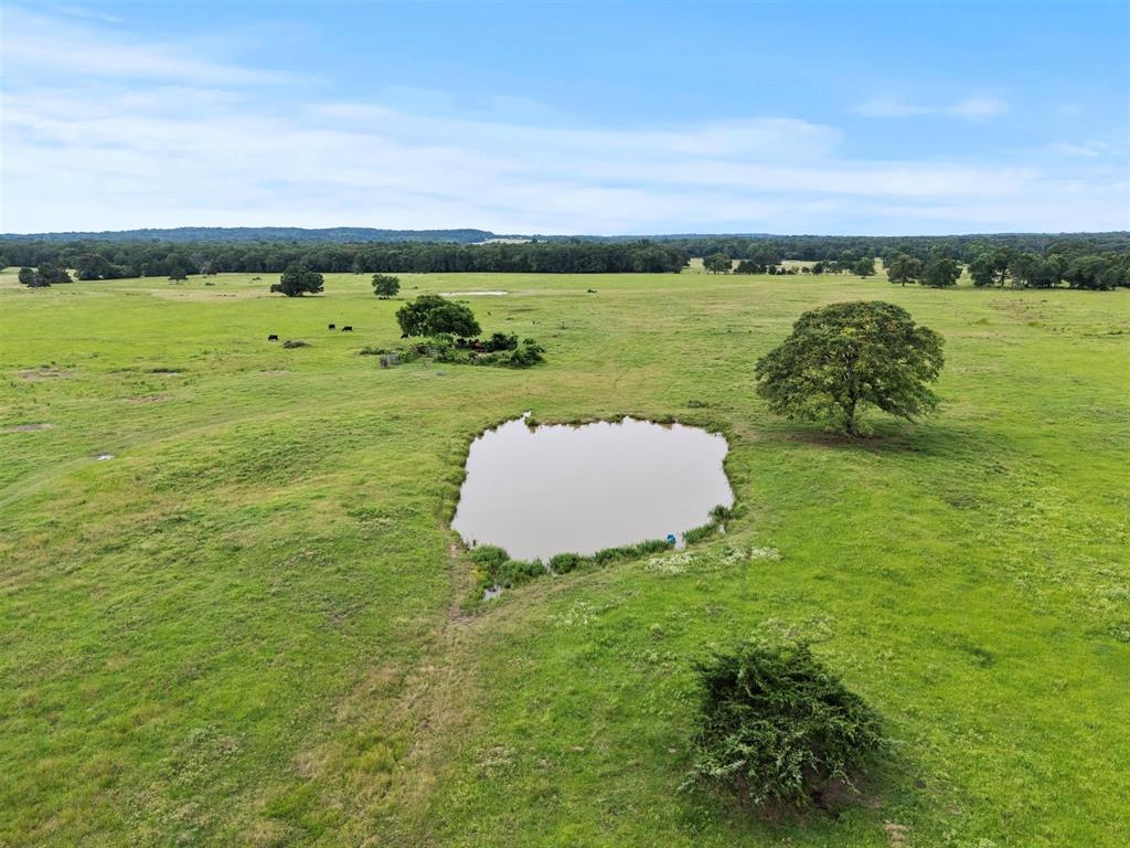 0 Vz Cr Ben Wheeler, TX 75754 - Photo 10 of 20 a view of a lake with a yard