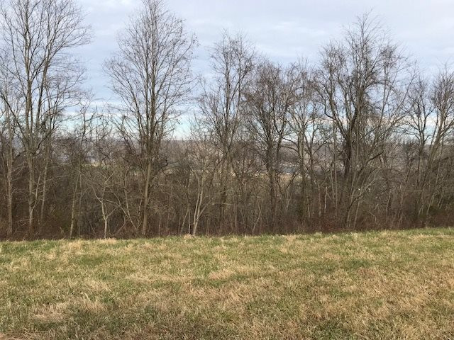 3040 Dover Minerva Road Dover, KY 41034 - Photo 3 of 30 Gallery Image 3