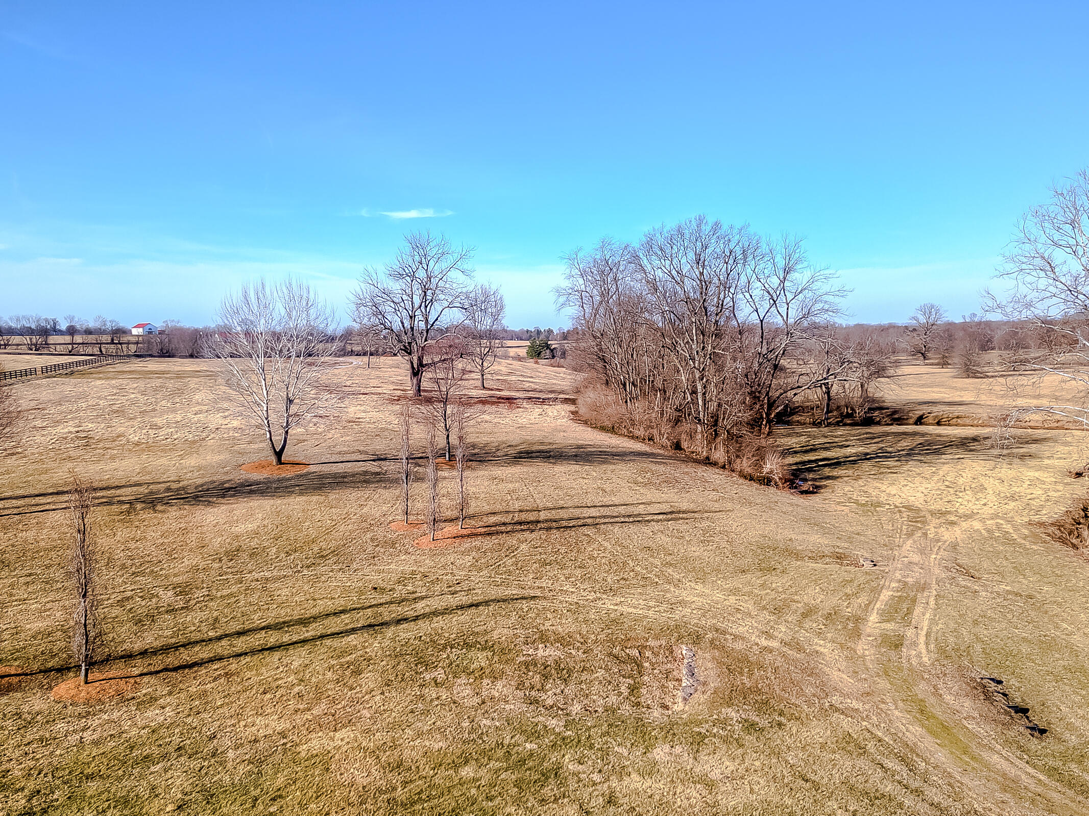 651 Johnston Road Lexington, KY 40511 - Photo 70 of 74 75-4-15