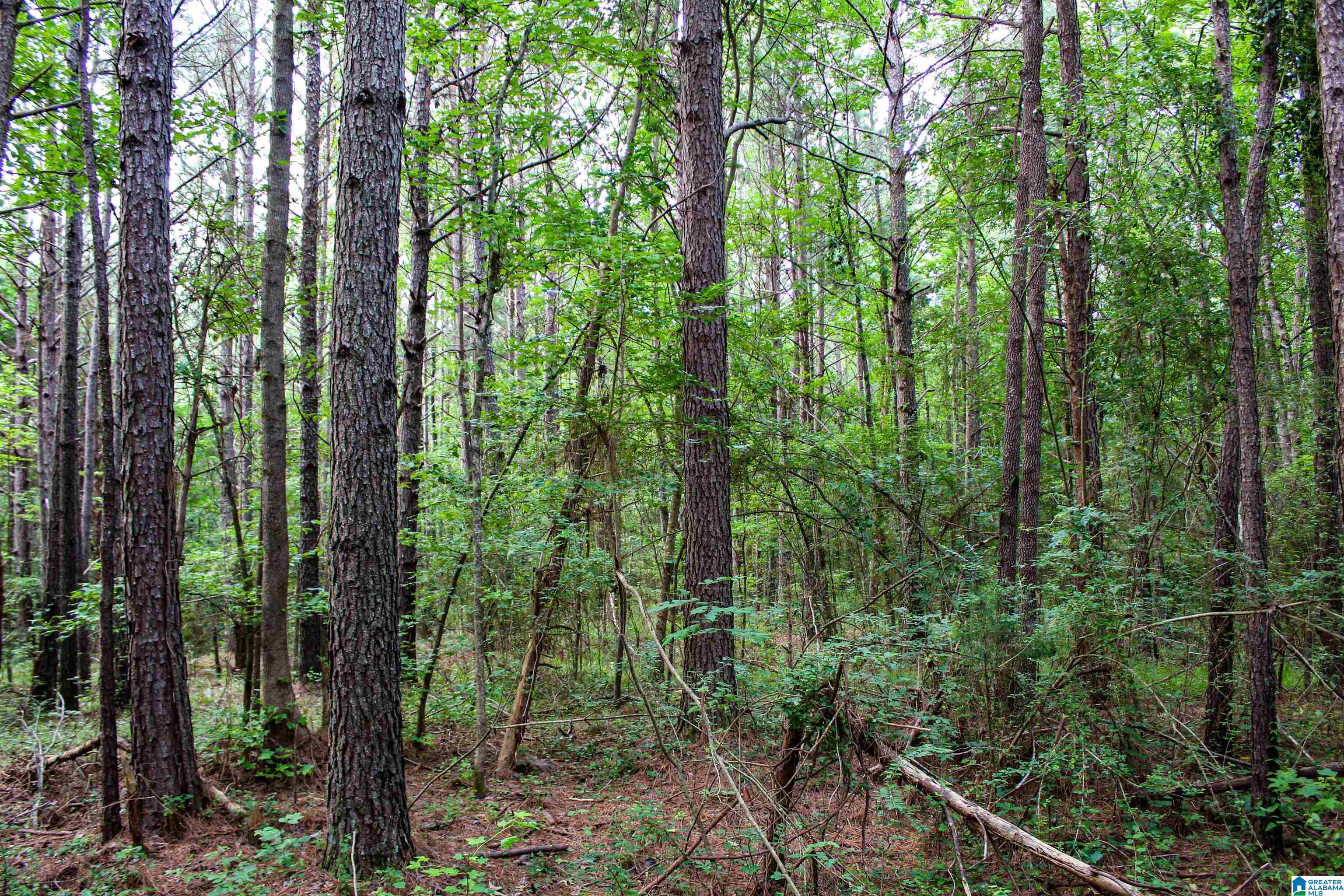 2211 Gurley Road, Unit 1 Trafford, AL 35172 - Photo 9 of 39