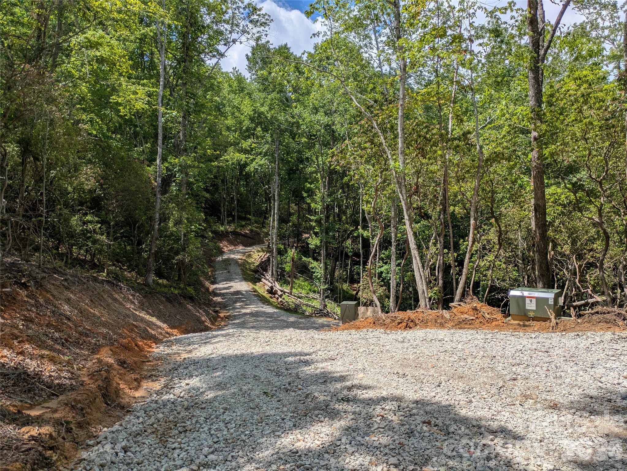 313 Line Runner Ridge Road Brevard, NC 28712 - Photo 28 of 33