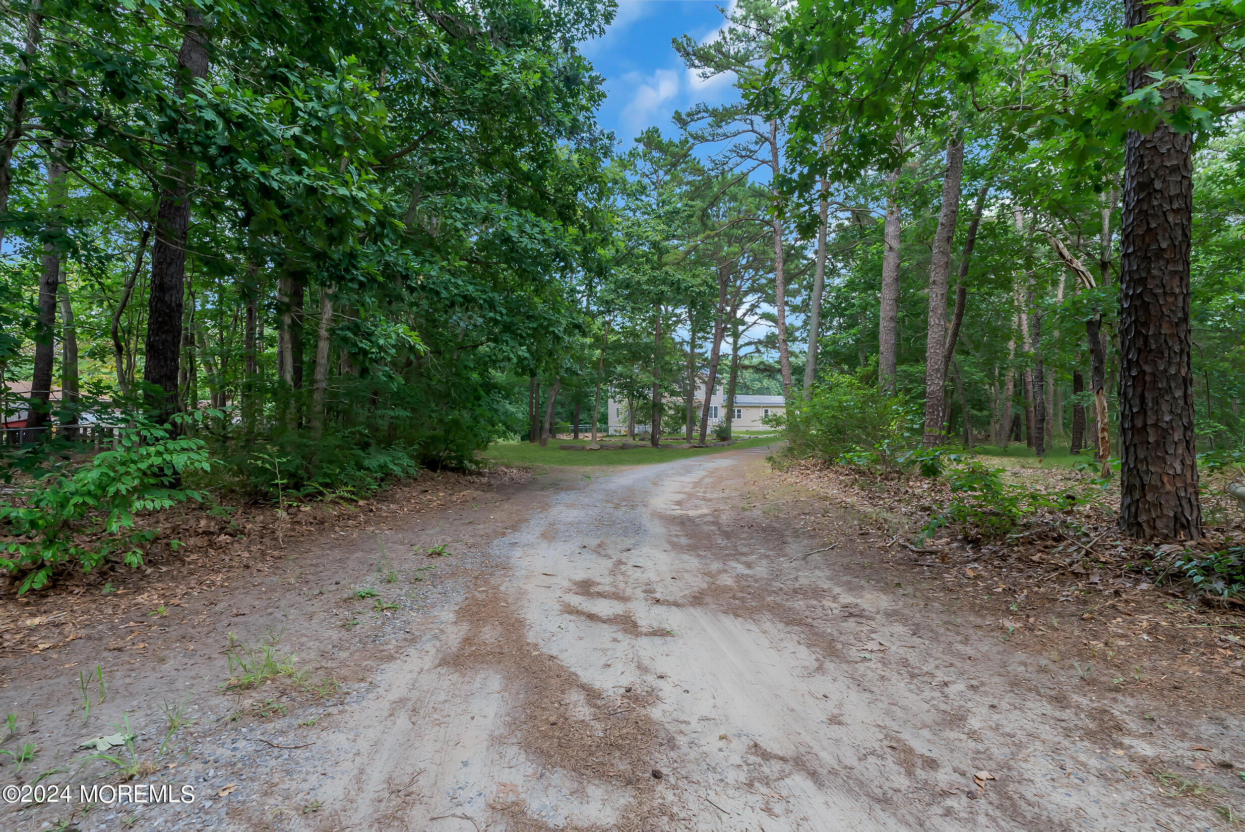 888 Anderson Road Jackson, NJ 08527 - Photo 54 of 81 a view of a forest with trees in the background