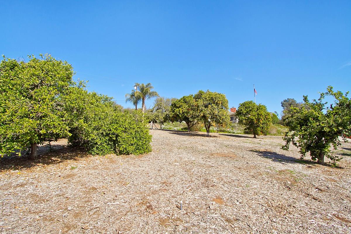 1918 Calmin Drive Fallbrook, CA 92028 - Photo 20 of 24 Gallery Image 20