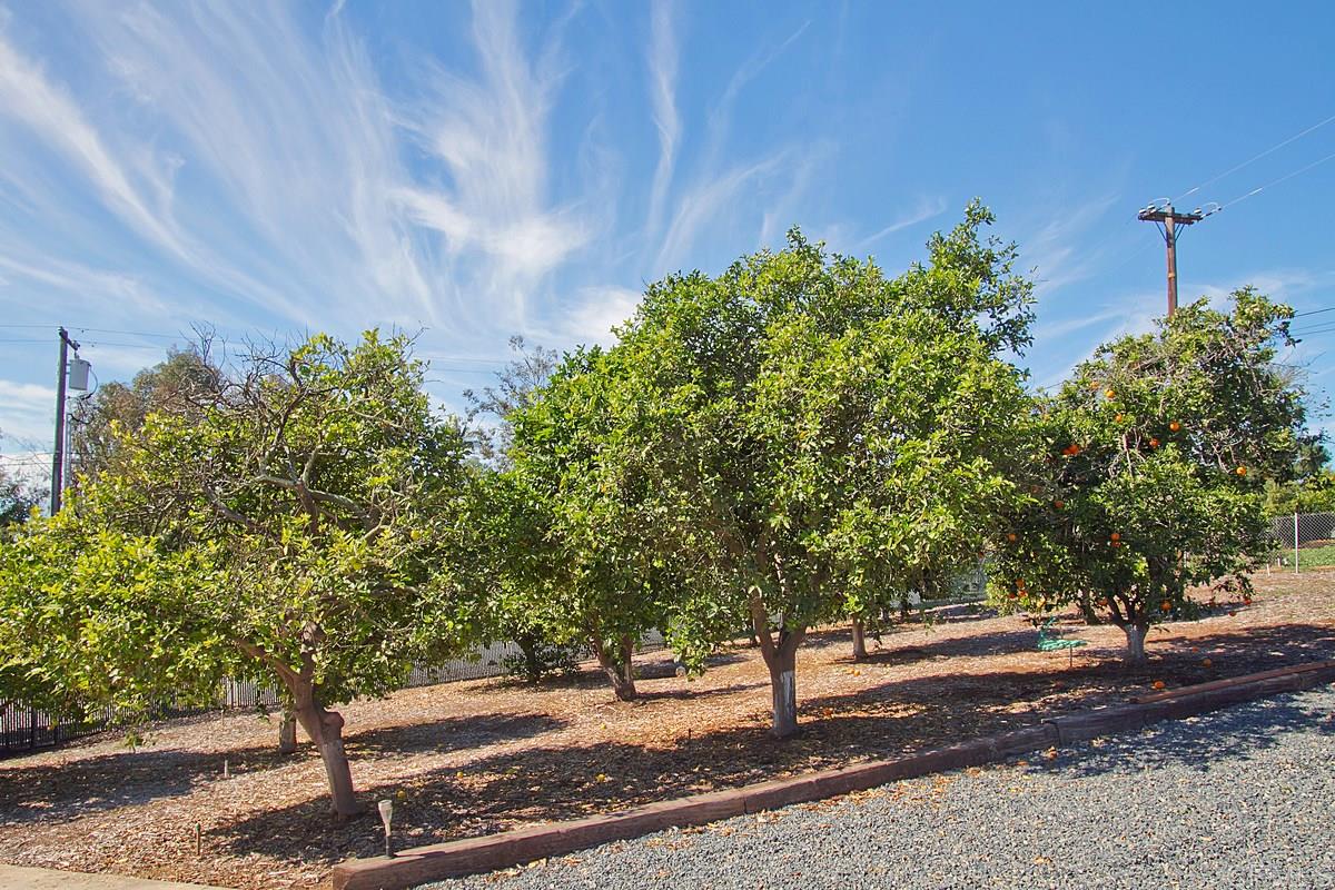 1918 Calmin Drive Fallbrook, CA 92028 - Photo 21 of 24 Gallery Image 21