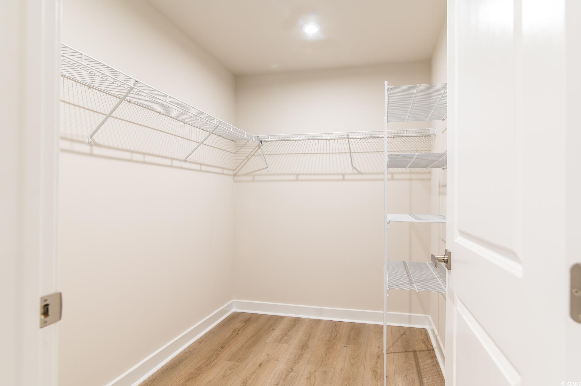 2382 Elowen Lane Longs, SC 29568 - Photo 16 of 36 Spacious closet featuring light wood finished floors