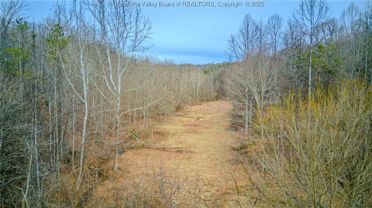 0 Evansview Road Evans, WV 25241 - Photo 23 of 41 Gallery Image 23