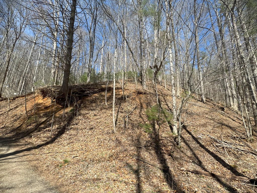 Lot 21 Restin Road Franklin, NC 28734 - Photo 2 of 7 Gallery Image 2