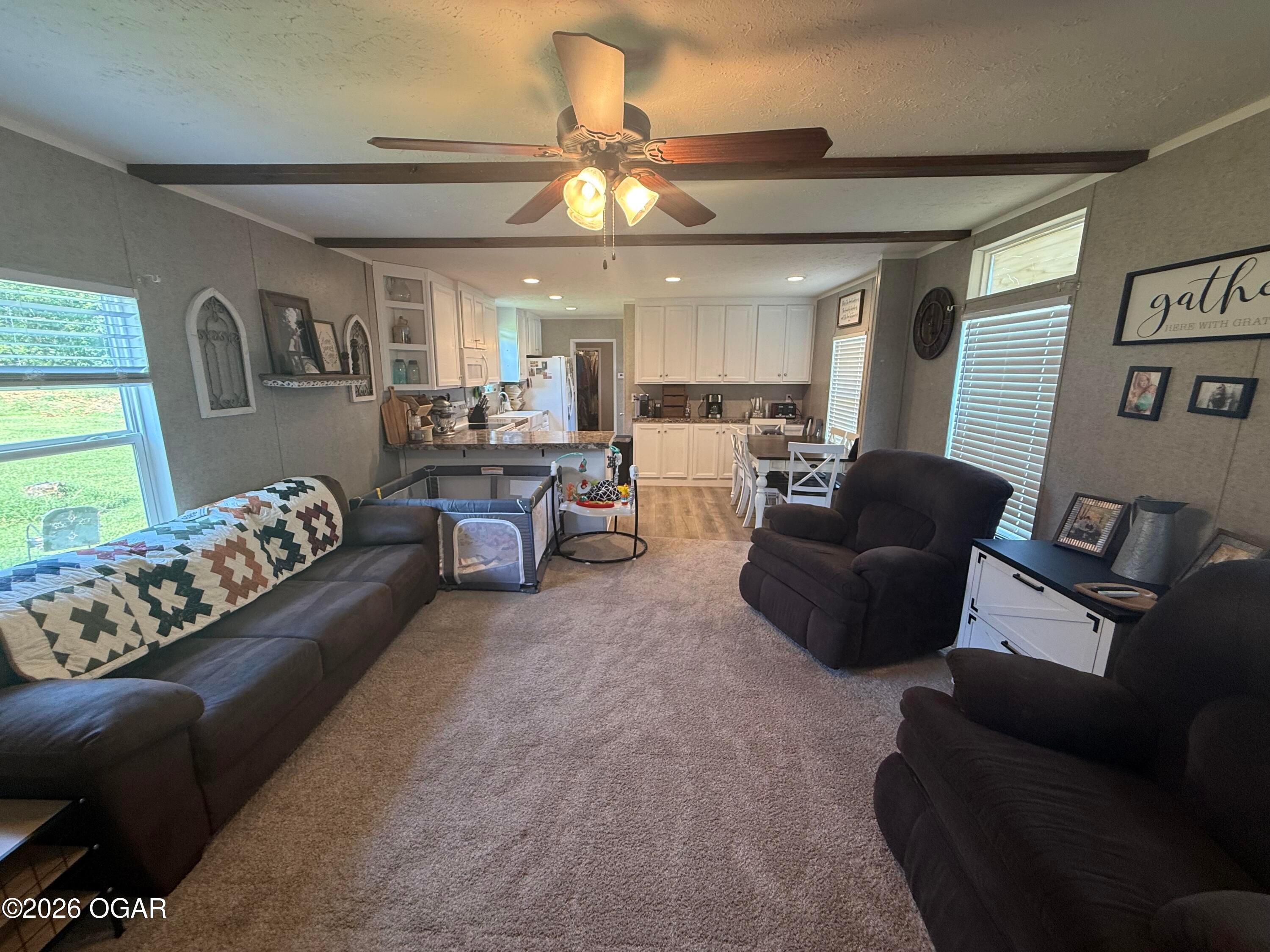 6731 Raccoon Road Pierce City, MO 65723 - Photo 78 of 103 Gallery Image 78