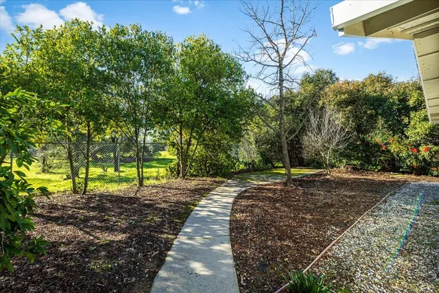 a view of a backyard