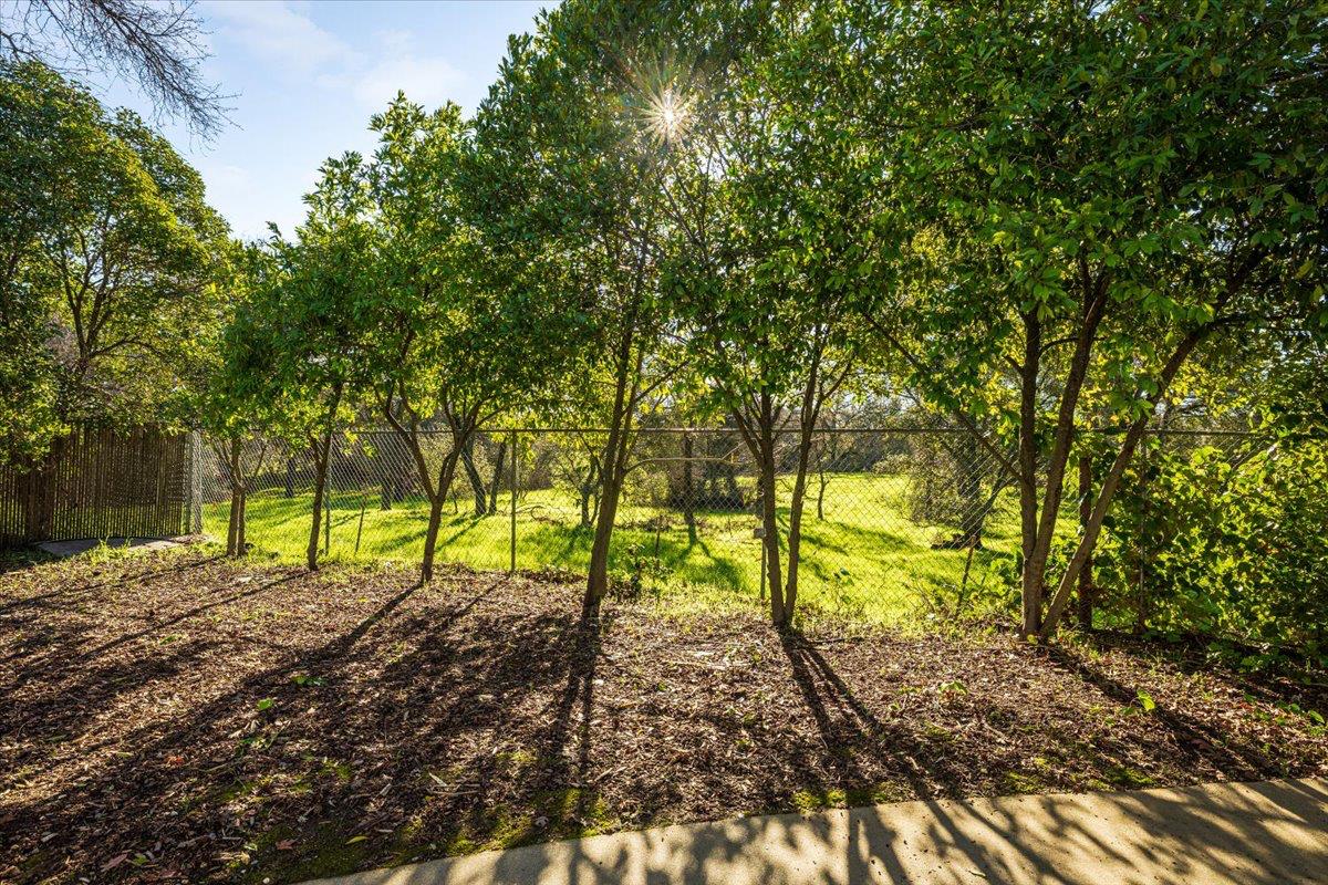 6318 David Avenue Loomis, CA 95650 - Photo 8 of 26 a view of back yard