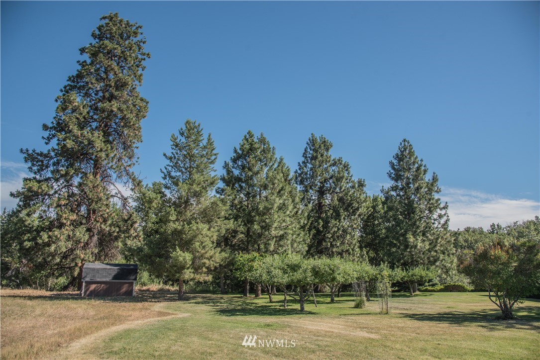 4291 Brown Road Ellensburg, WA 98926 - Photo 24 of 25 Gallery Image 24