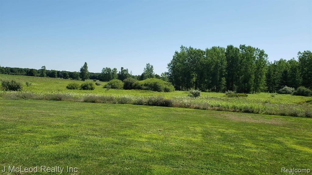 7431 Center Road Mayville, MI 48744 - Photo 5 of 21