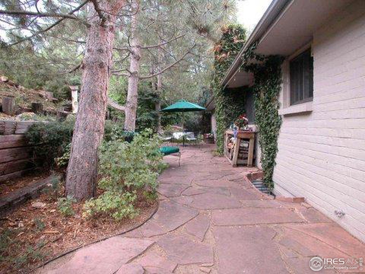 3308 Shore Road Fort Collins, CO 80524 - Photo 9 of 18 Gallery Image 9