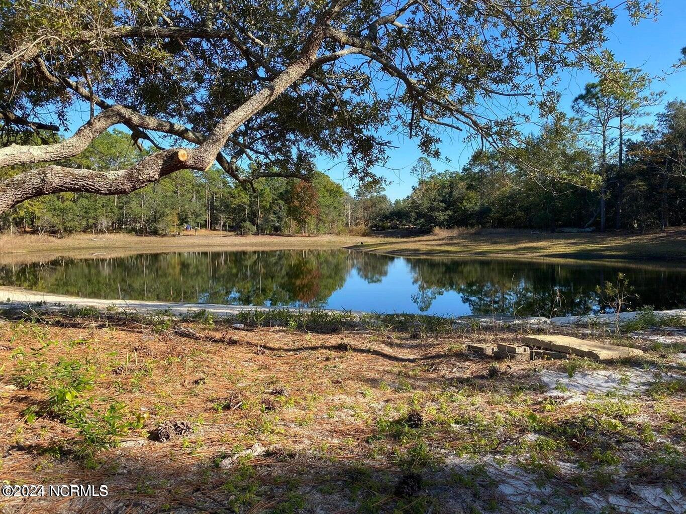 951 Wimberley Road Boiling Spring Lakes, NC 28461 - Photo 2 of 23 wimberley pond
