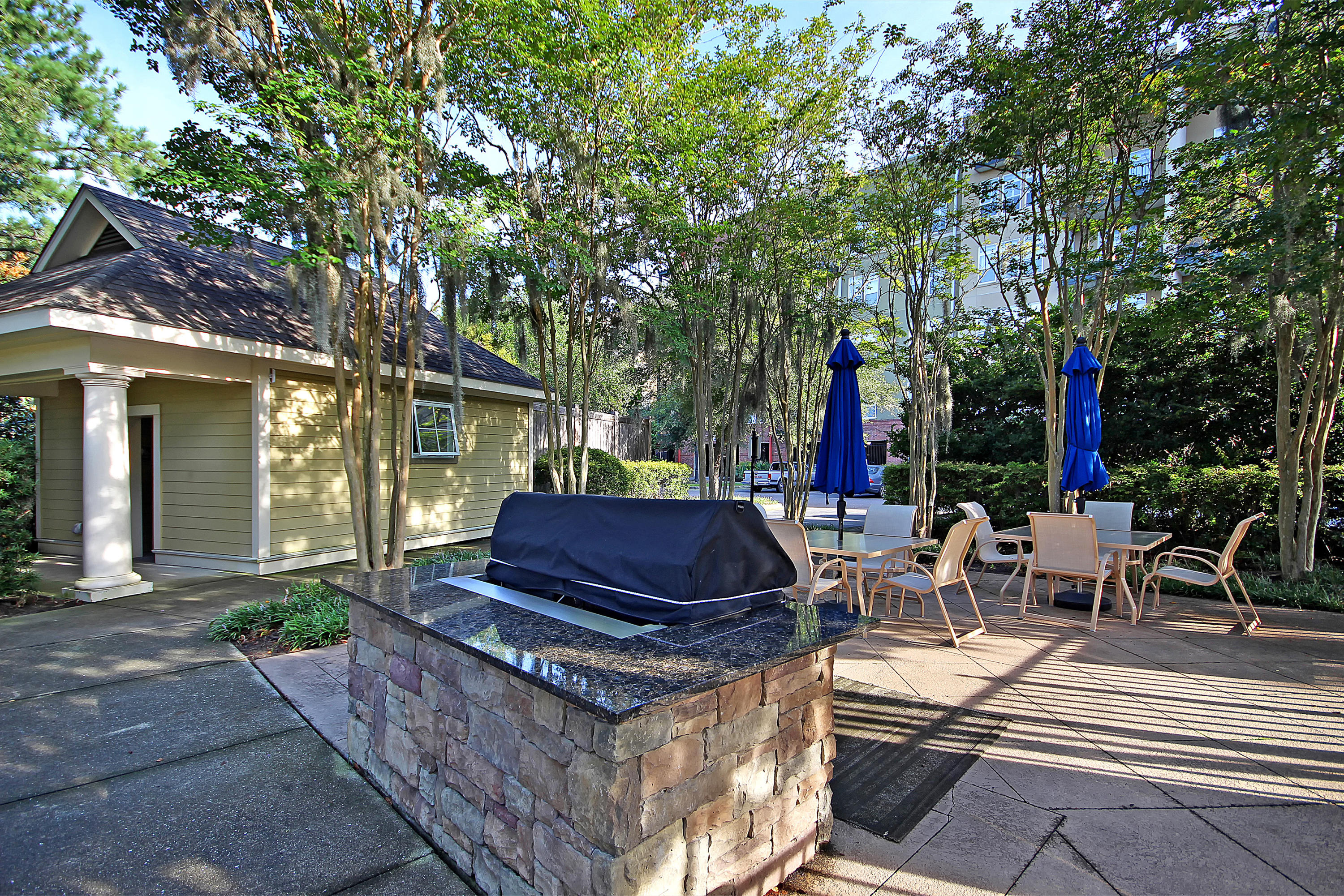 135 Pier View Street, Unit 101 Charleston, SC 29492 - Photo 36 of 45 Grilling Area