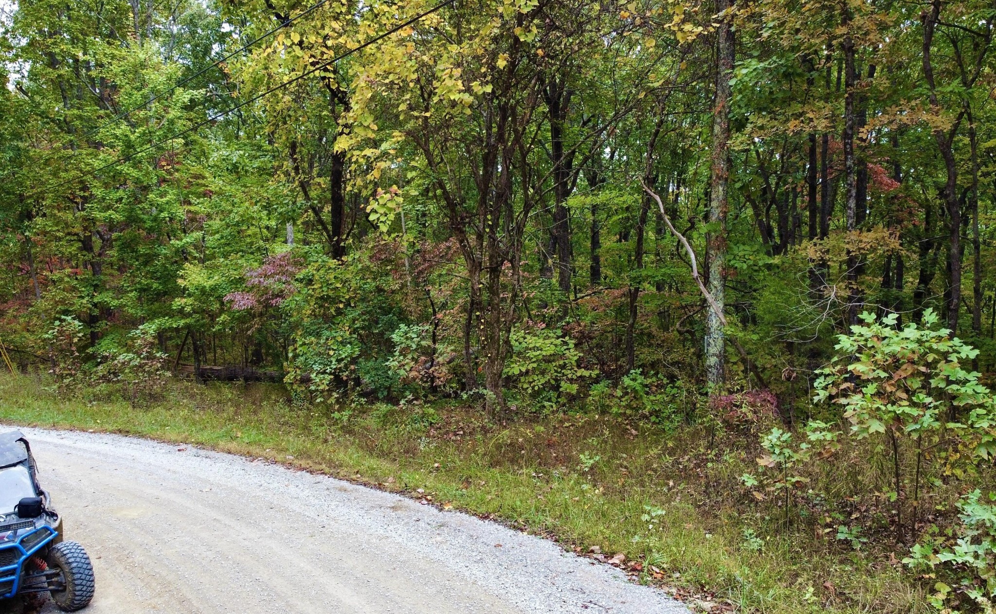 17 Log Road Spring City, TN 37381 - Photo 6 of 14 Gallery Image 6