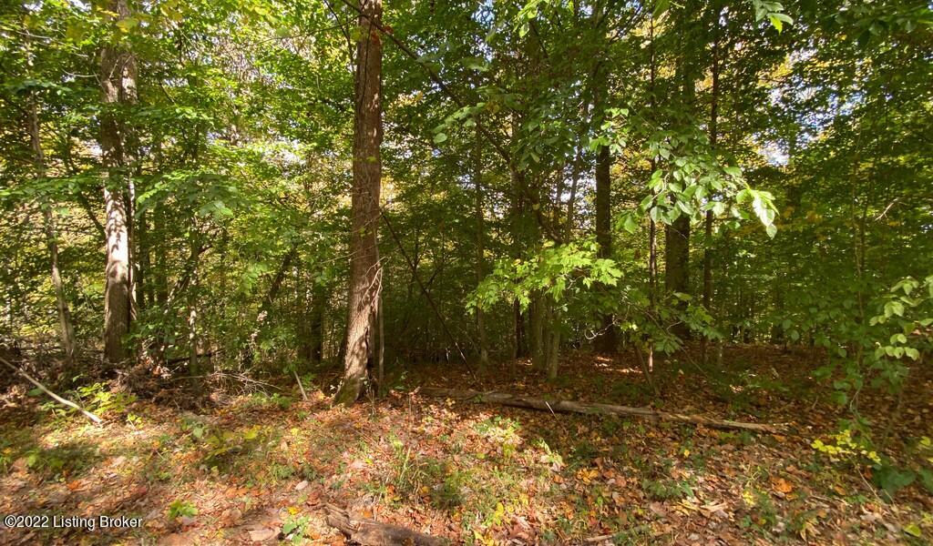 L49 Ted Logsdon Road Clarkson, KY 42726 - Photo 7 of 7 River View Fall293