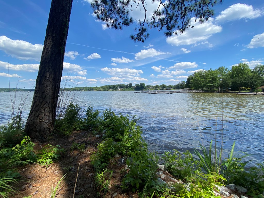 113 Long Point Road Hodges, SC 29653 - Photo 6 of 31