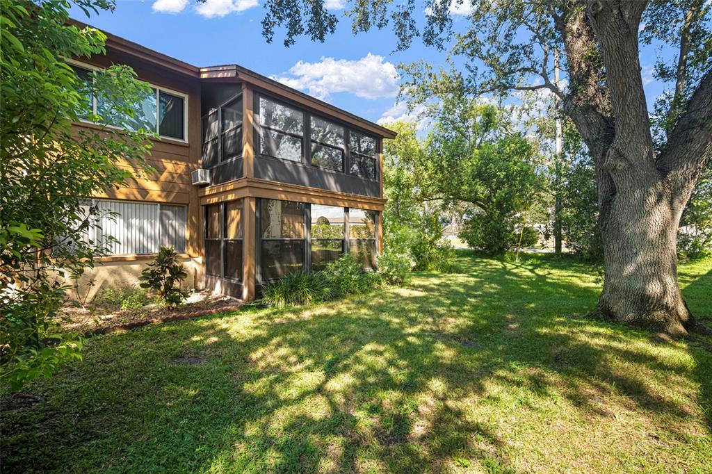 4446 Chart Court New Port Richey, FL 34652 - Photo 6 of 30