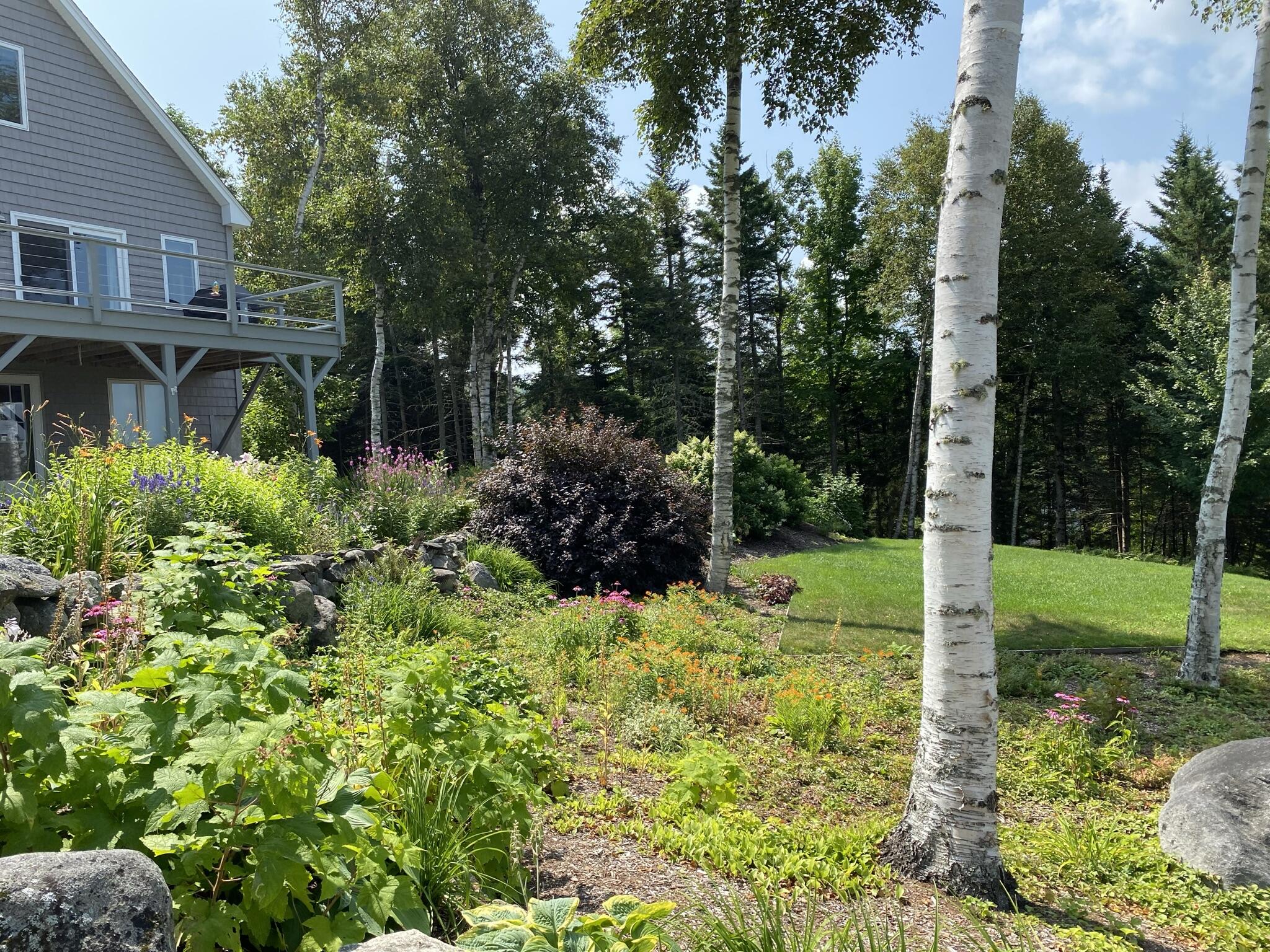 276 Thistle Street Upton, ME 04261 - Photo 23 of 80 IMG_4658